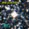 HD 116701