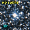 HD 116748