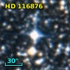 HD 116876