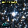 HD 117096