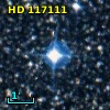 HD 117111