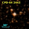 CPD-64  2443