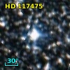 HD 117475