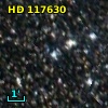 HD 117630