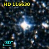 HD 116630