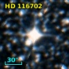 HD 116702