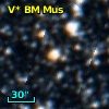 V* BM Mus