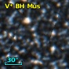 V* BH Mus