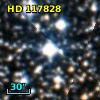 HD 117828