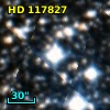 HD 117827