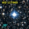 HD 117960