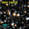 NSV 19878