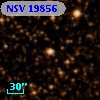 NSV 19856