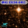 IRAS 13134-6452