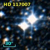 HD 117007