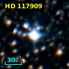 HD 117909