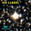 HD 118491