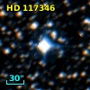HD 117346