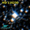 HD 116230
