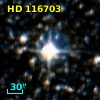 HD 116703