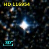 HD 116954