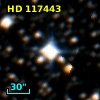 HD 117443