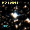 HD 116983