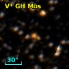 V* GH Mus