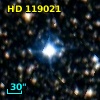 HD 119021
