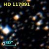 HD 117891