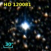HD 120081