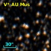 V* AU Mus