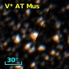 V* AT Mus