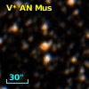 V* AN Mus
