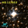 HD 117653