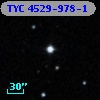 TYC 4529-978-1