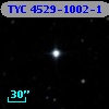 TYC 4529-1002-1