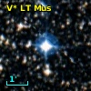 V* LT Mus