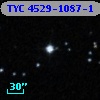 TYC 4529-1087-1