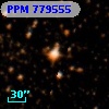 PPM 779555
