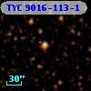TYC 9016-113-1