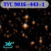 TYC 9016-443-1
