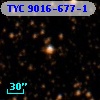 TYC 9016-677-1