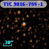 TYC 9016-788-1