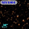 NSV  6464