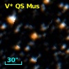 V* QS Mus