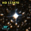 HD 117870