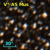 V* AS Mus