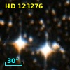 HD 123276