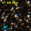 V* AR Mus